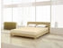 Mister Sandman Spannbetttuch Elastan basic 90-100 x 200-220 cm