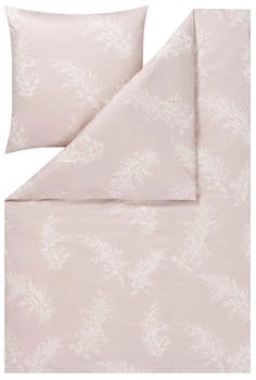 Estella Bettwäsche Rosalina 135x200 + Kissen 80x80 Floral flieder, 2 teilig