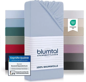 Blumtal 2er-Set Basics Spannbettlaken 200x200cm Jersey Hellblau