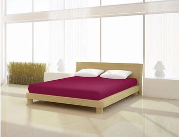 Mister Sandman Spannbettlaken Full Elastan de luxe 180 x 200 cm brombeer