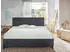 Prinz Exklusiv Mako-Jersey Spannbetttuch 02010 90-100 x 200 cm Hellgrau