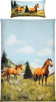 Erwin Müller Renforcé Kinder-Bettwäsche 135x200 cm (40x80 cm) blau-grün