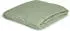 Irisette Kuschel-Jersey Spannbetttuch Vesuv 0012 salbei-31 190x200cm