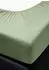 Irisette Kuschel-Jersey Spannbetttuch Vesuv 0012 salbei-31 190x200cm