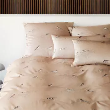 Elegante Bettw&auml;sche-Garnitur Sp&auml;tzchen 24553-8 Apricot 80/80 135/200
