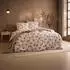 Estella Edelflanell Bettwäsche Sicina 155x220 cm (80x80 cm) apricot (531898)