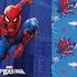 Herding Renforcé Bettwäsche Spiderman 135x200 cm (80x80 cm) blau-rot (530115)