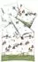 Kaeppel Feinbiber Kinder-Bettwäsche Kites 100x135 cm (40x60 cm) grün-bunt (533103)