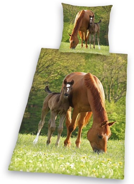 Herding Pferd mit Fohlen 80x80+135x200cm