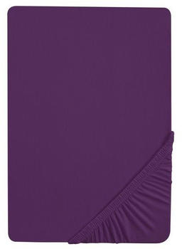 Biberna Jersey-Stretch (77144/353/087) 180x200-200x200cm dkl.violett