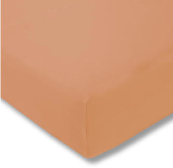 Estella Zwirn-Jersey-Spannbettlaken 180x190-200x220cm apricot