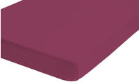 Biberna Spannbettlaken "THEA Baumwoll-Jersey mit Elasthan, 160 g/m&sup2;" Bettlaken f&uuml;r