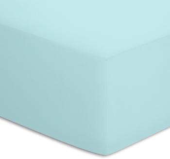 Bassetti Jersey-Elasthan 180x200-200x220cm eisblau