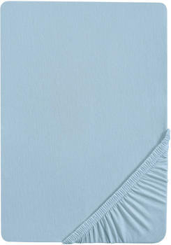 Biberna 12344 Frottee-Stretch 90-100x190-200cm hellblau