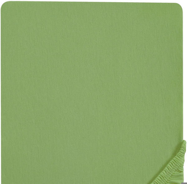 Biberna 12344 Frottee-Stretch 180-200x200cm olivgrün