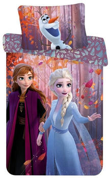 Disney Frozen 2 Anna und Elsa Leave 40x60+100x135cm