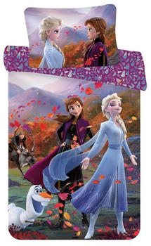Disney Frozen 40x60+100x135cm