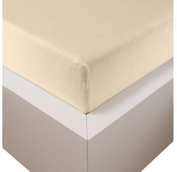 Traumschloss Premium Plus Edel-Jersey Spannbetttuch 90-120 x 200-220 cm creme