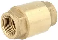 Watts R&uuml;ckschlagventil Europa 100 2'' Messing. 10017480