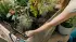Gardena Micro-Drip-System (Set 13455)
