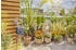 Gardena EasyPlus Bewässerungsprogrammierer 01896-20