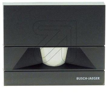 Busch-Jaeger Busch-Wächter 70 MasterLINE anthrazit (6854 AGM-35)