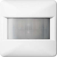 Jung Automatik-Schalter CD 17180 WW