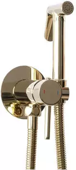 Rea Loop Lungo Bidetarmatur mit Handbrause, Gold (REA-B8979)