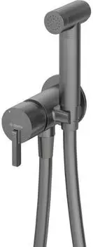 Deante Silia Unterputz-Bidetarmatur mit Handbrause, Titan (BQS-D34M)