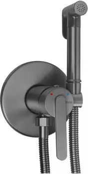 Rea Ontario Bidetarmatur Unterputz, titan (REA-B0154)
