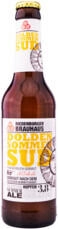Riedenburger Dolden Sommer Sud BIO 0,33l