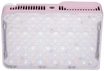 amaran Ace 25c rosa