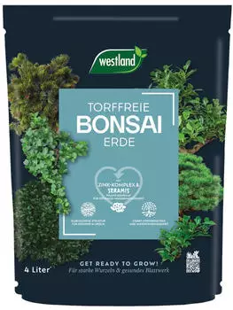 Westland Bonsai Erde TF, 4 l