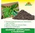 Neudorff NeudoHum Grünpflanzen & Palmenerde 40 L