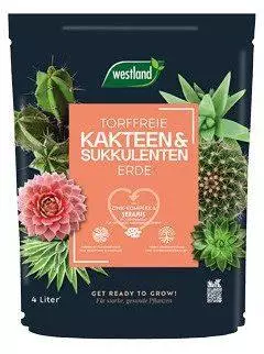 Westland Kakteen & Sukkulenten Erde TF, 4 l