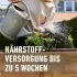 COMPO BIO Hochbeet- und Gewächshauserde torffrei 60 Liter (2402704004)