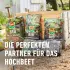 COMPO BIO Hochbeet- und Gewächshauserde torffrei 60 Liter (2402704004)