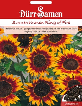 Dürr-Sa­men Sonnenblume Ring of Fire Rot/Dunkelbraun/Gelb