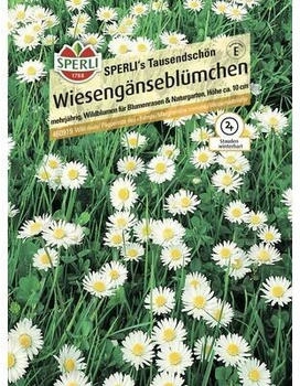 Sperli Wiesengänseblümchen