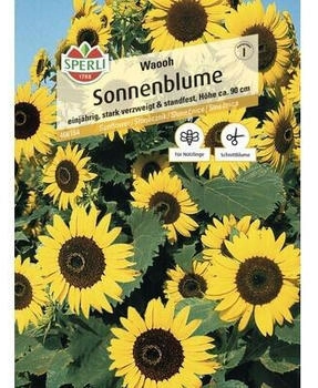 Sperli Sonnenblume Waooh Samenfestes Saatgut