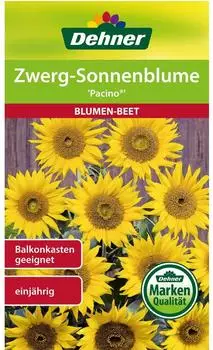 Dehner Zwerg-Sonnenblume Pacino, Gelb
