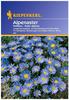 Sperli Blumensamen Alpenaster hellblau, grün