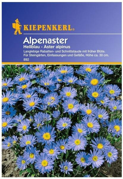 Kiepenkerl Alpenaster hellblau