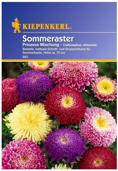 Kiepenkerl Prinzess-Aster Mischung