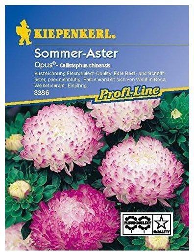 Kiepenkerl Sommer-Aster Opus