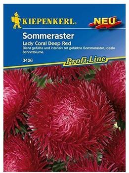 Kiepenkerl Sommeraster Lady Coral Deep Red