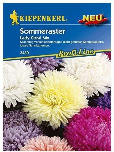 Kiepenkerl Sommeraster Lady Coral Mix