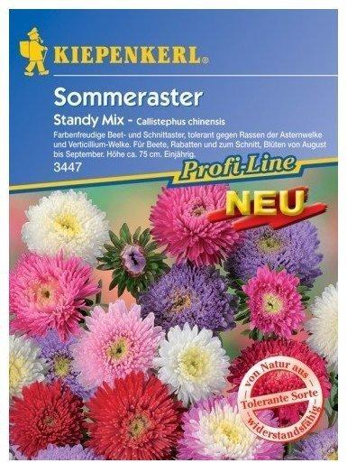 Kiepenkerl Sommeraster Standy Mix