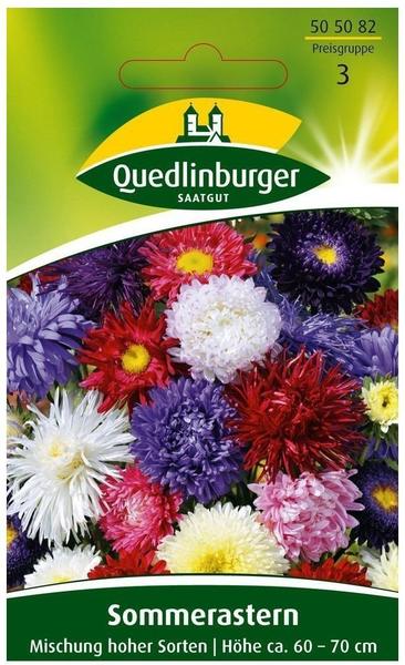 Quedlinburger Saatgut Sommeraster Standy Mix