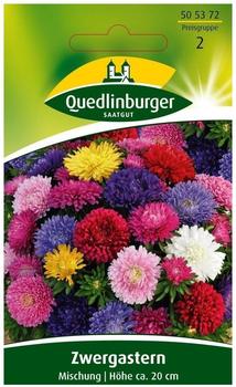 Quedlinburger Saatgut Sommeraster Zwerg Mischung